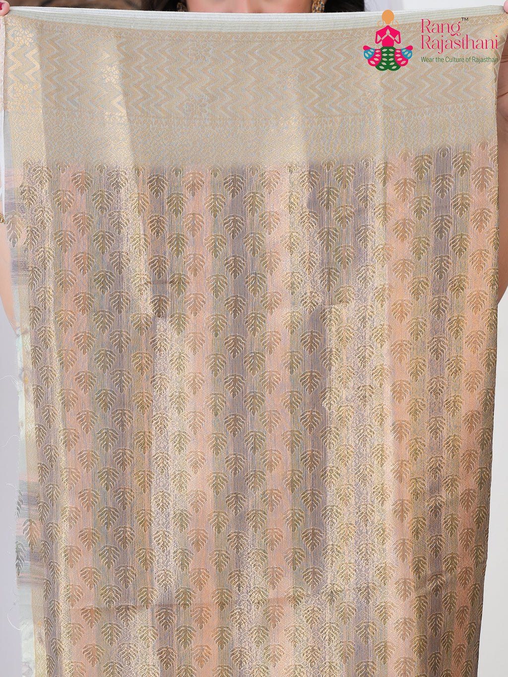 Brown SyntheticSilk saree with Printed pleats view