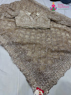 complete look of beige net sequin saree 