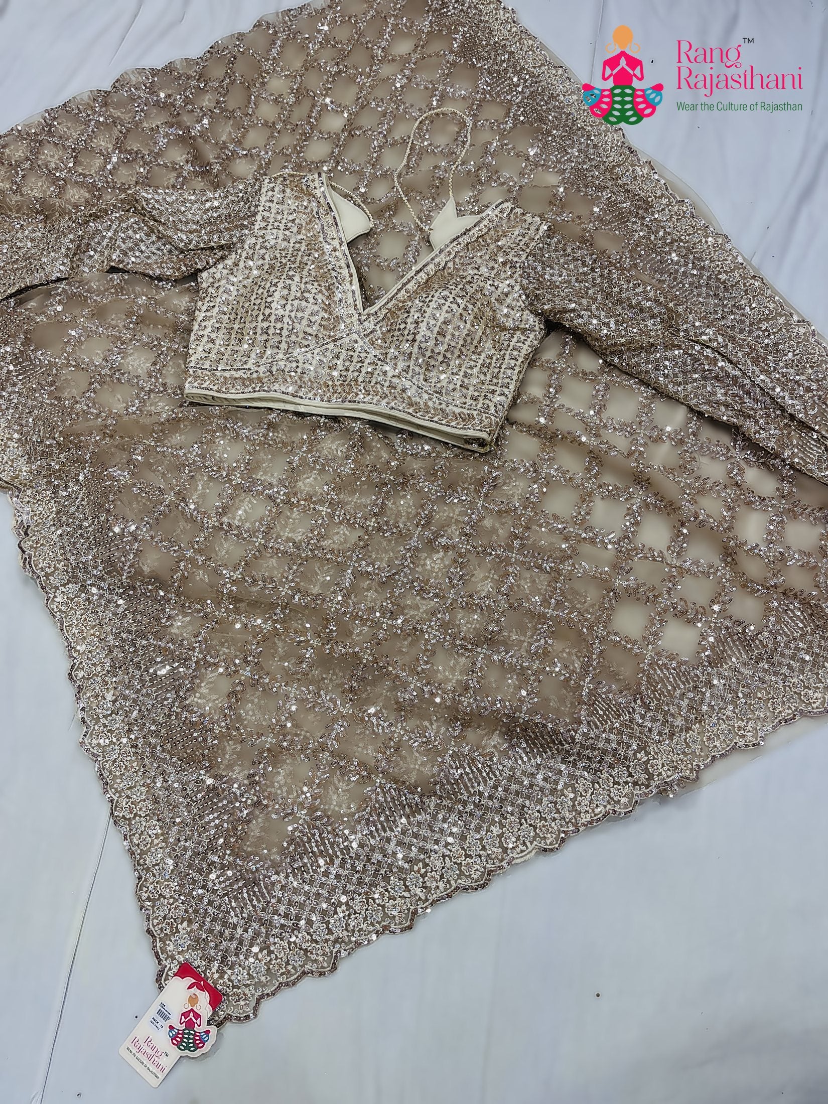 pallu detailing of beige net sequin saree 