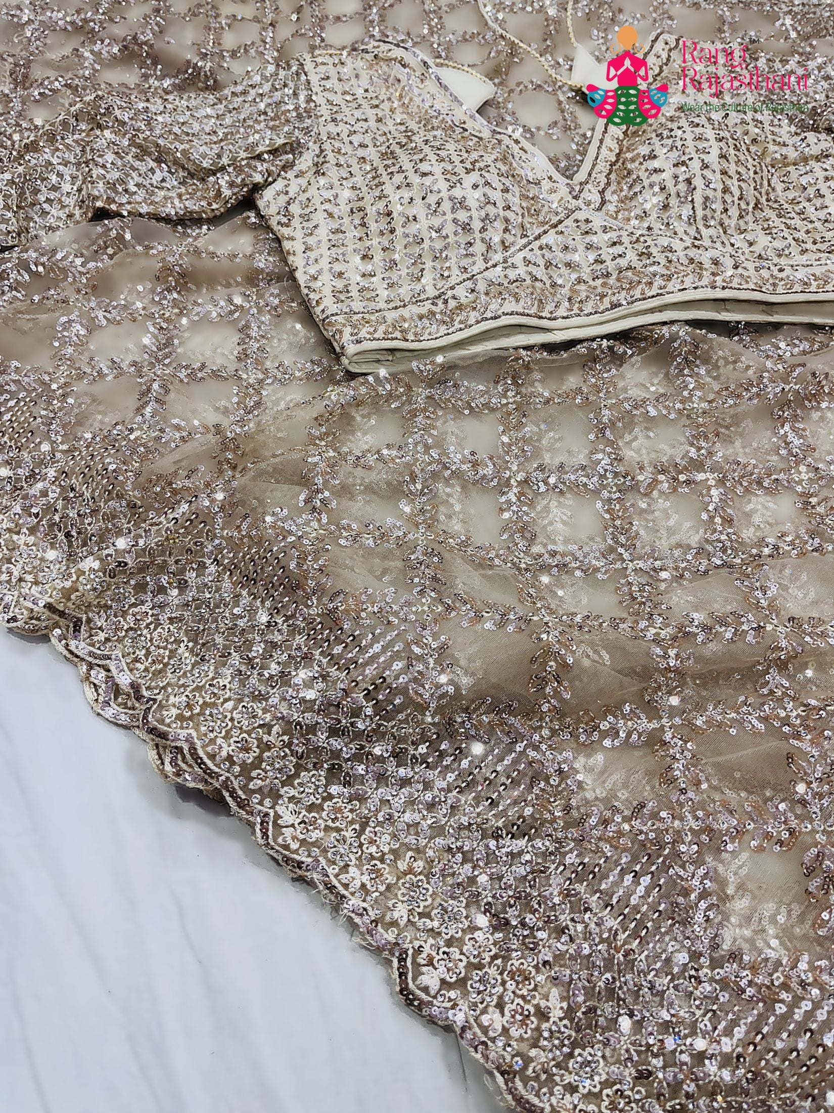 close up detailing of beige net sequin saree 