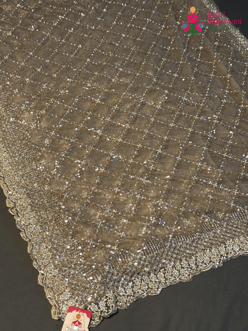Beige Net Sequin Saree for Wedding Reception | Style Edit main-image