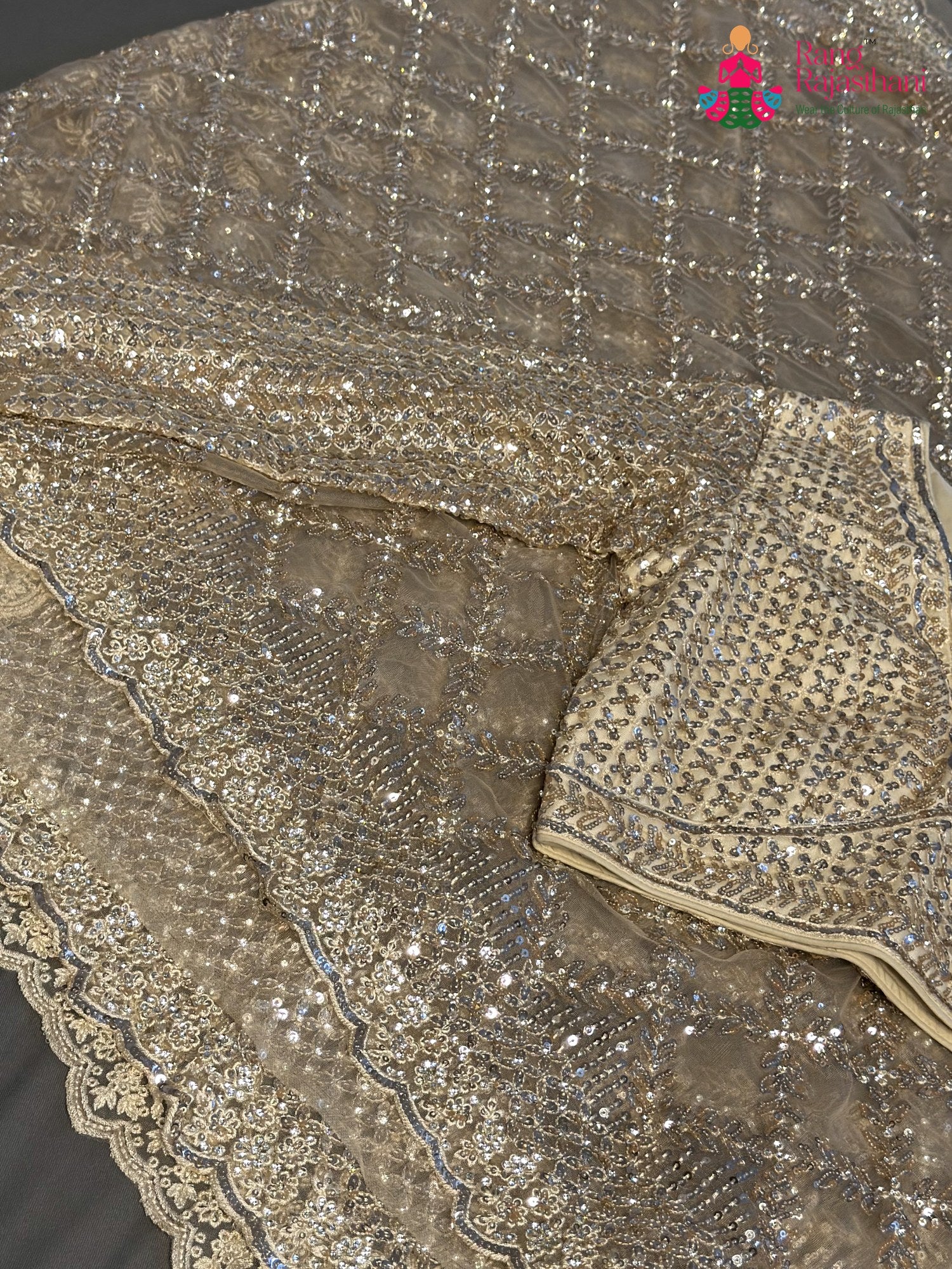 Beige Net Sequin Saree for Wedding Reception | Premium Edit