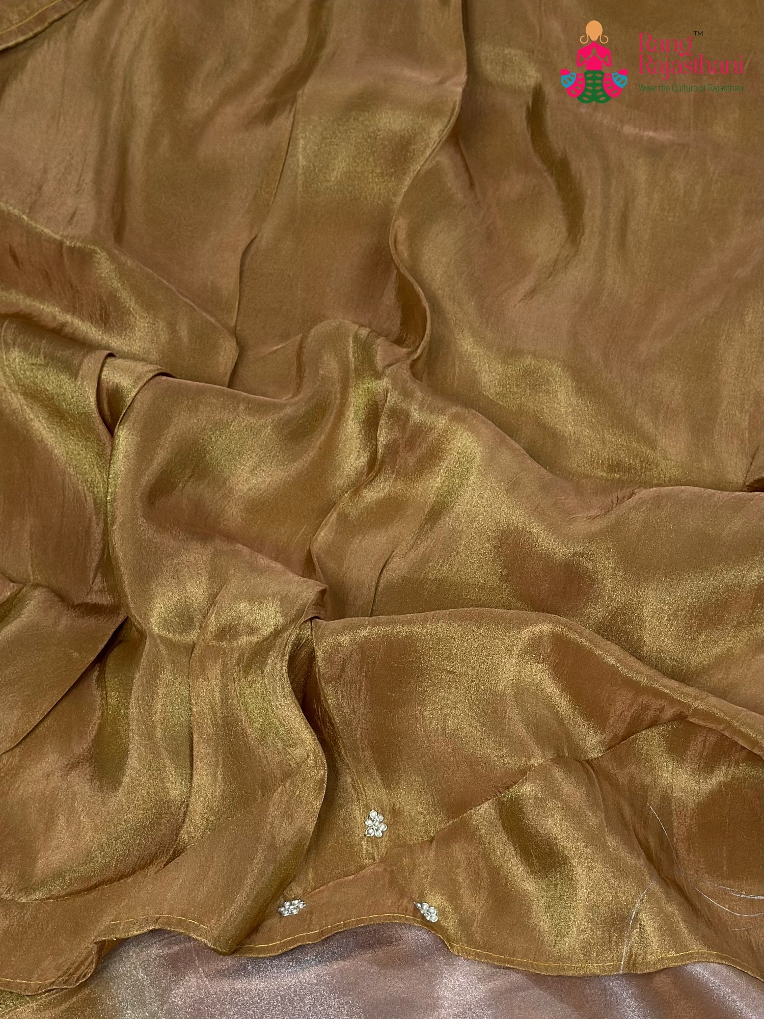 Beige Pure Tissue Silk Hand Embellishment Saree for Wedding Guest | Party Pick