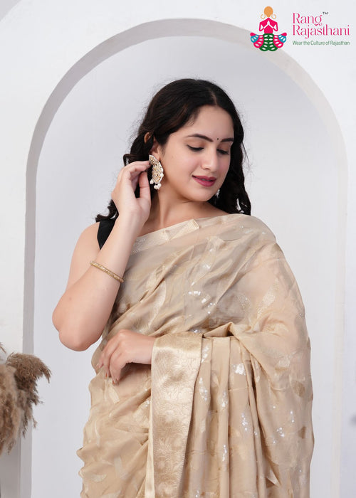 Chiku Silk saree with Sequence close up detailing