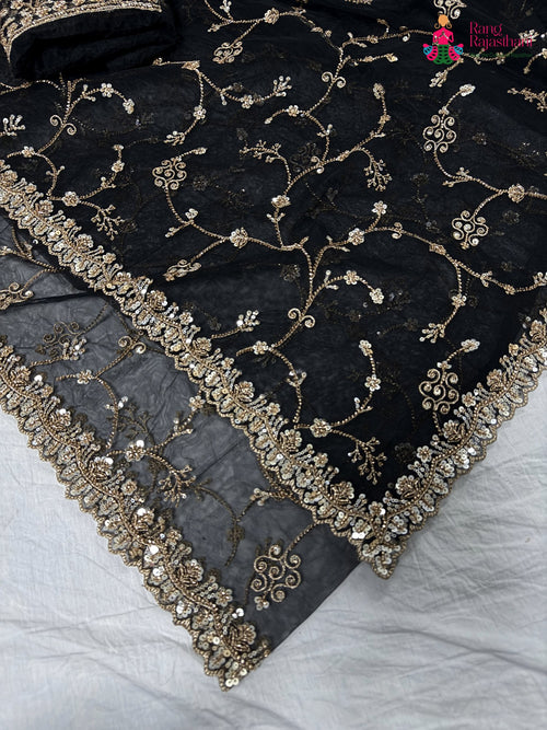 border detailing of black net hand embellishment saree