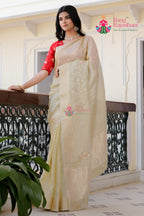 Chicku Tissue Silk saree with Boutique Handwork side drape view