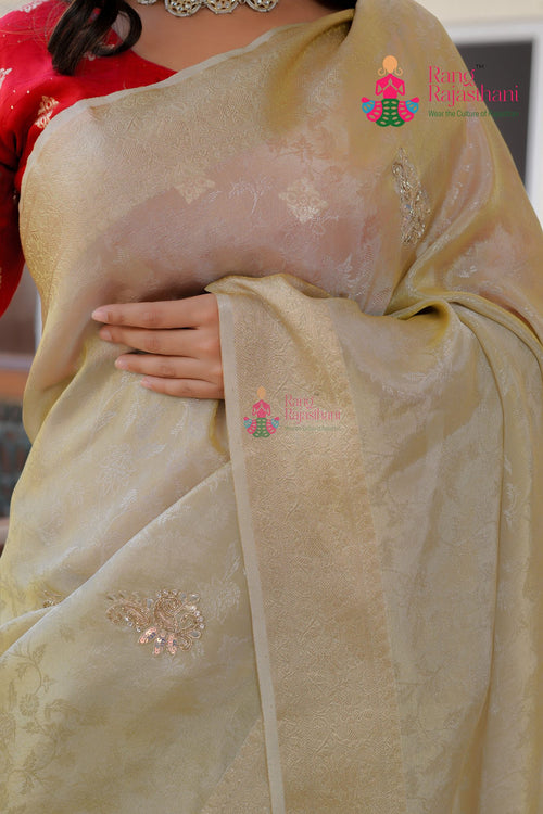 Chiku Tissue Silk saree with Boutique Handwork close up detailing