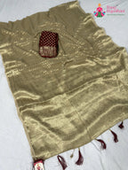 border detailing of chiku pure georgette khaddi saree