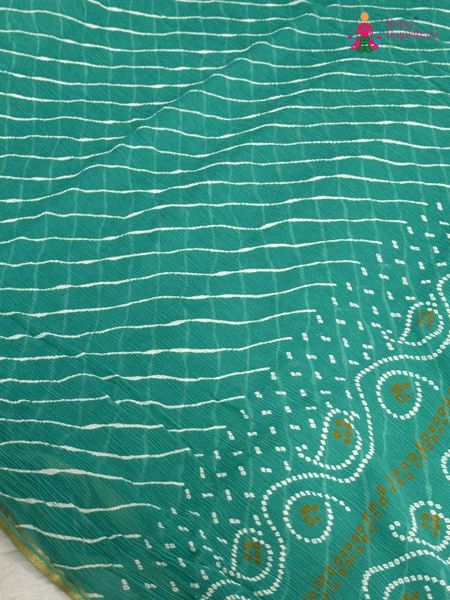border detail of firozi chiffon saree