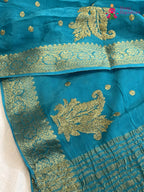 close up view of firozi chinnon sequin saree