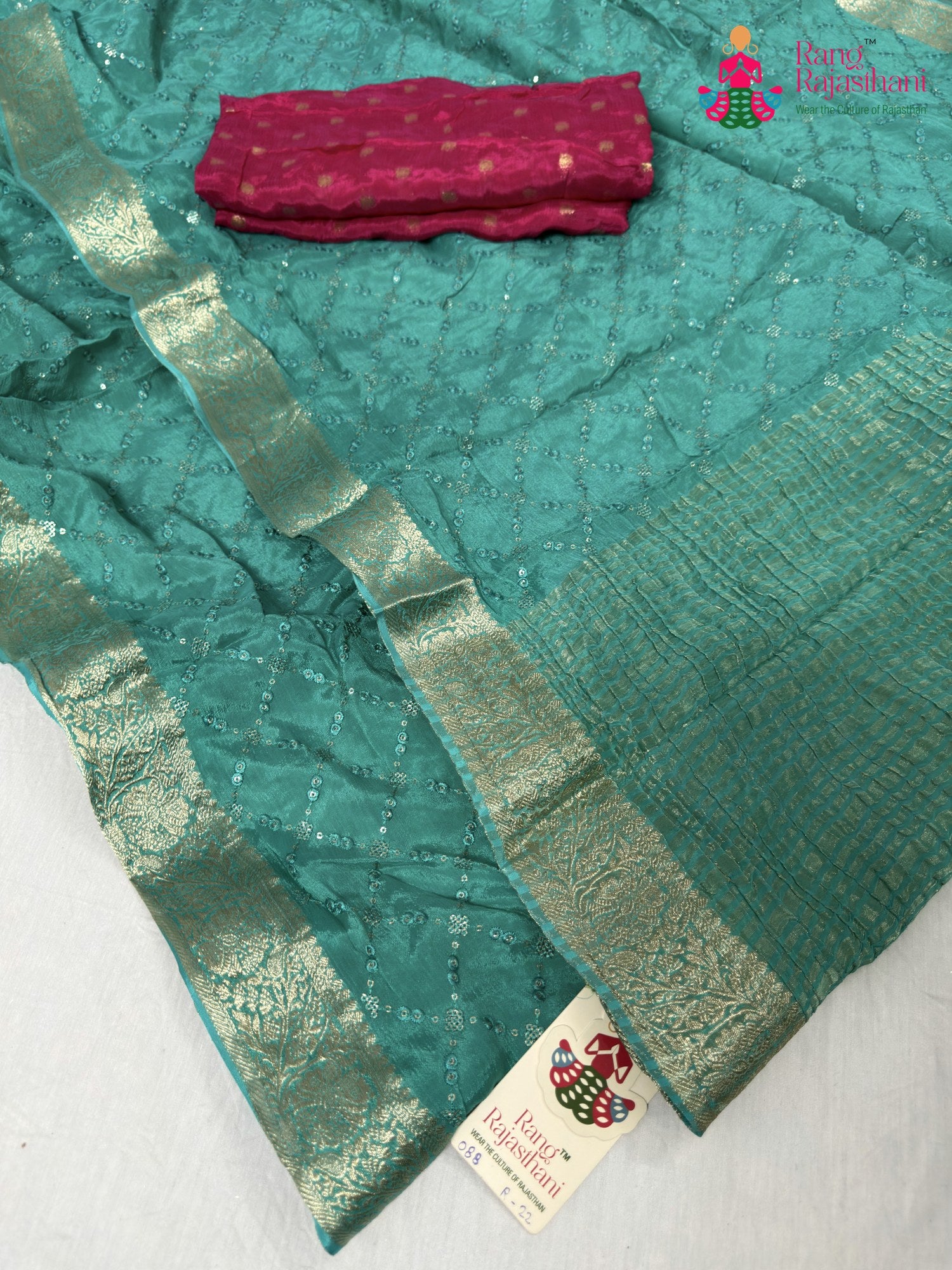 border detailing of firozi chinnon sequin saree