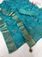 complete look of firozi pure ho silk sequin saree