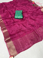 full view of gajari elegant saree