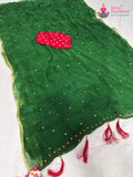 Green Chiffon Mirror Saree : Fresh Ease