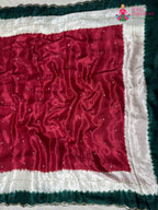full view of green modal sequin saree