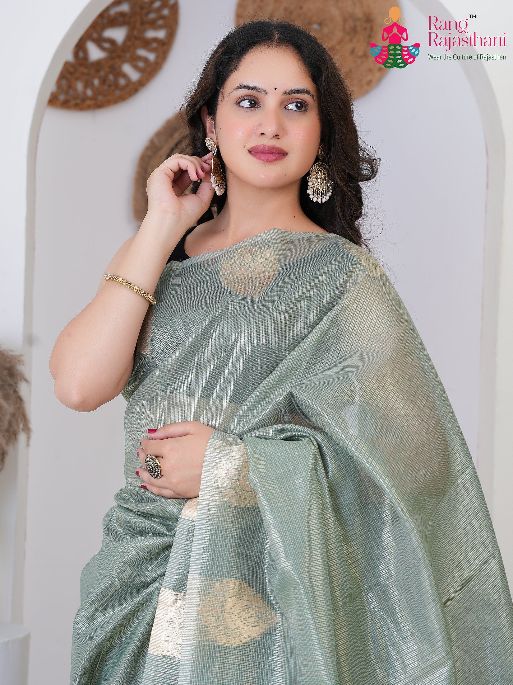 Pista Imported saree with Printed close up detailing