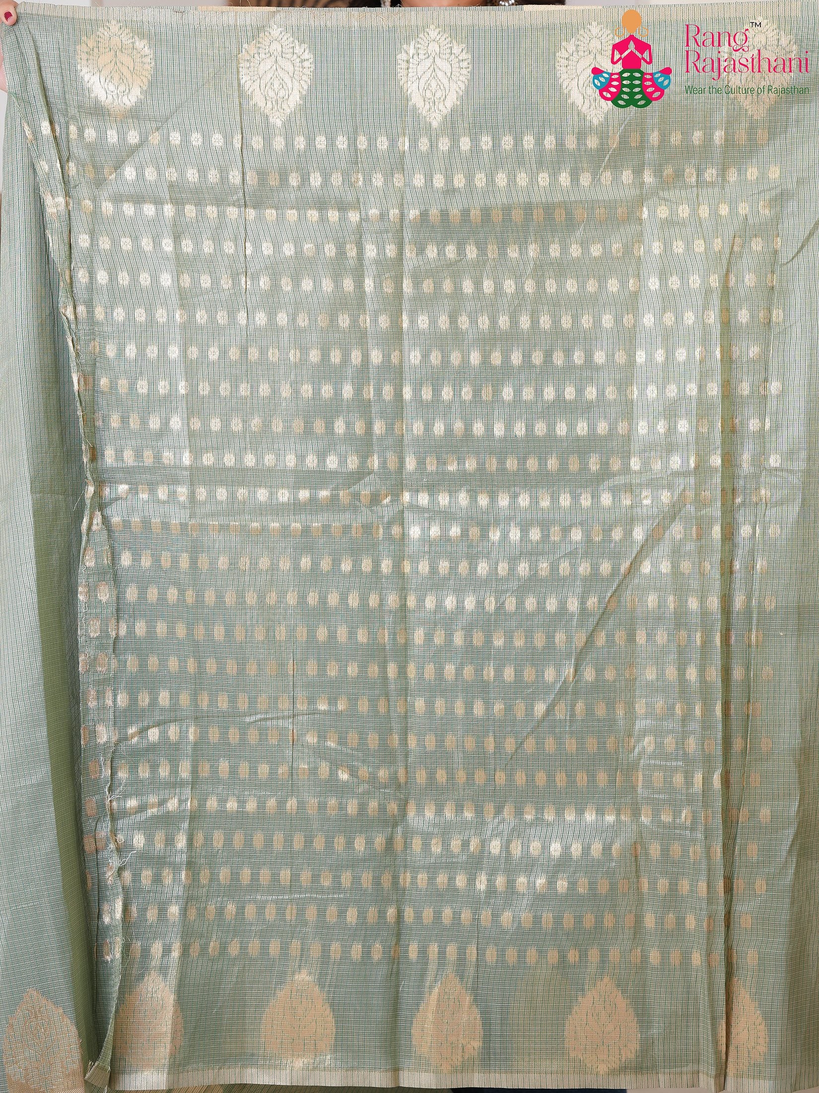 Pista Imported saree with Printed pleats view