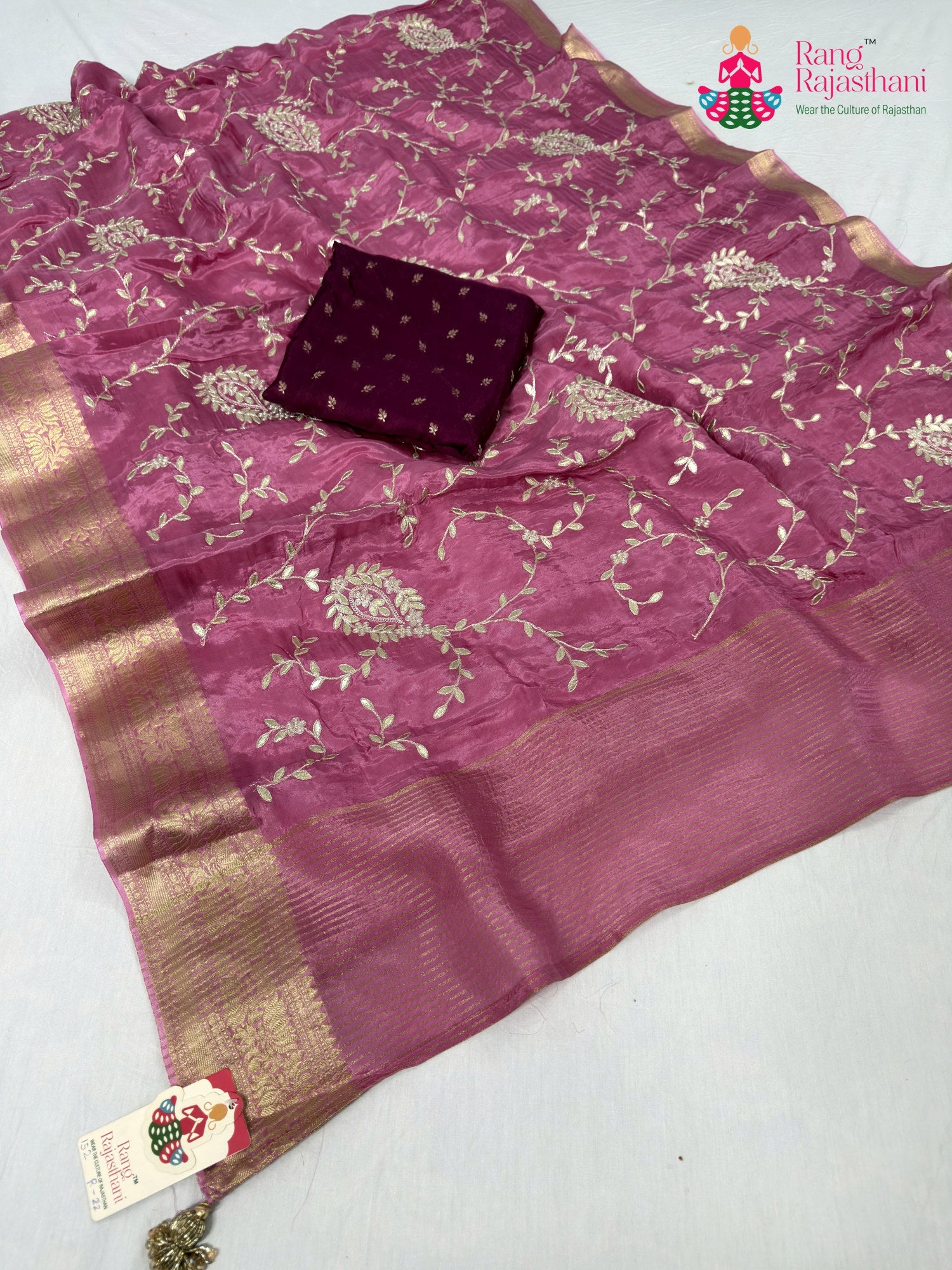 full view of minimal chinnon saree