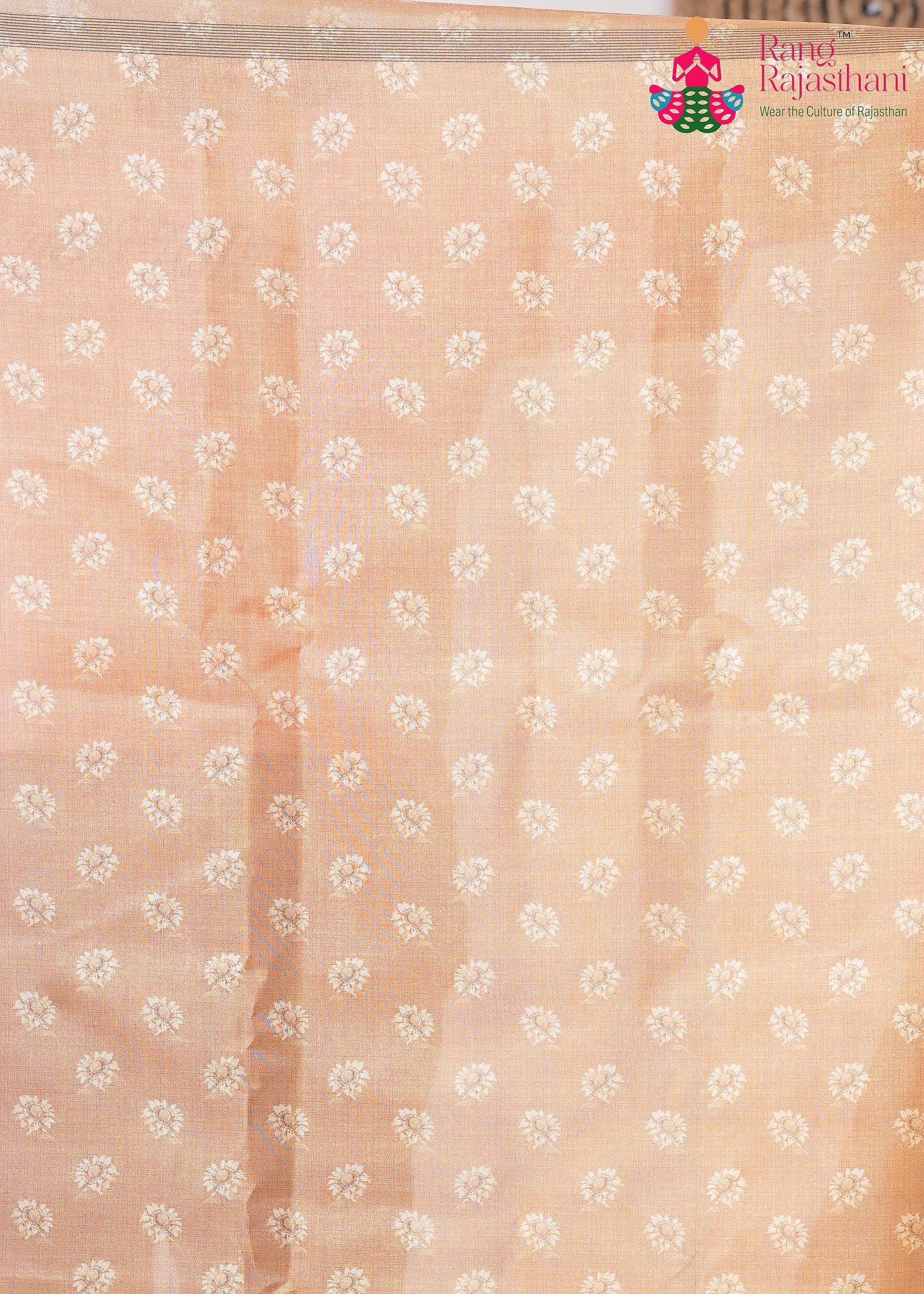 Green Imported saree with Printed pleats view