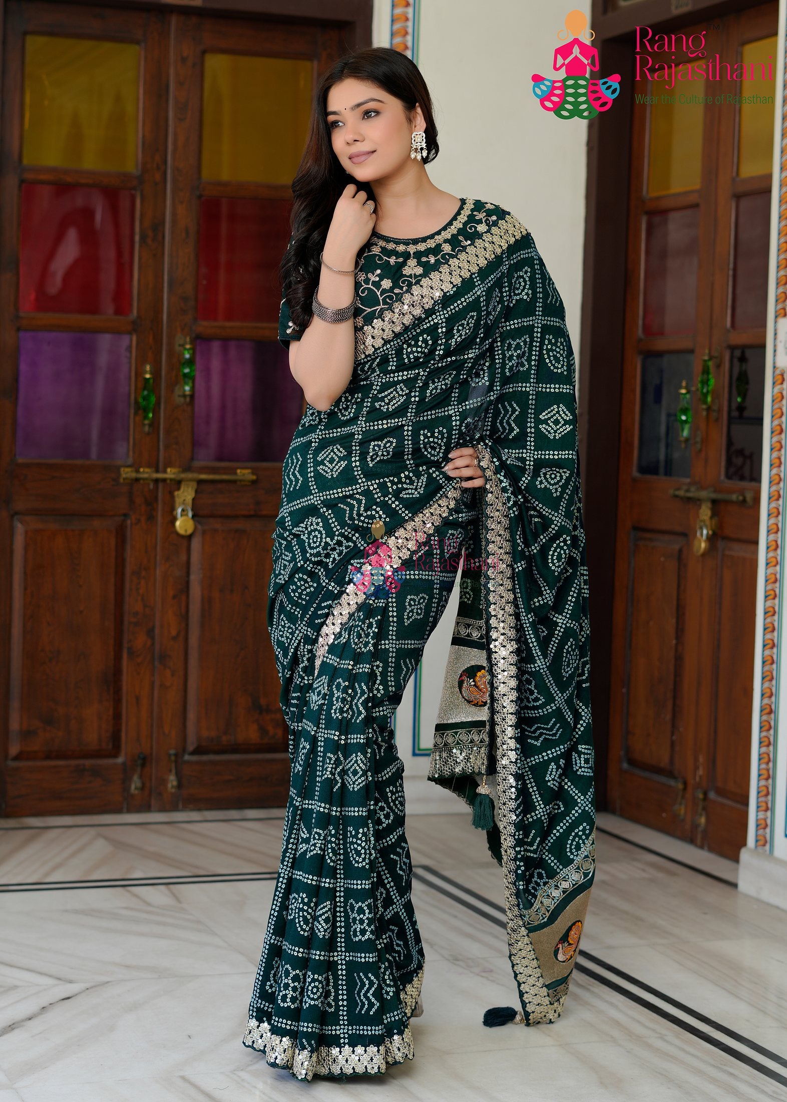 close up detailing of mor pich silk saree 
