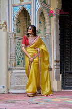 Musted Crush Tissue saree with Rich Border side drape view