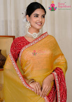 Musted Crush Tissue saree with Designer Bhandhni panel close up detailing