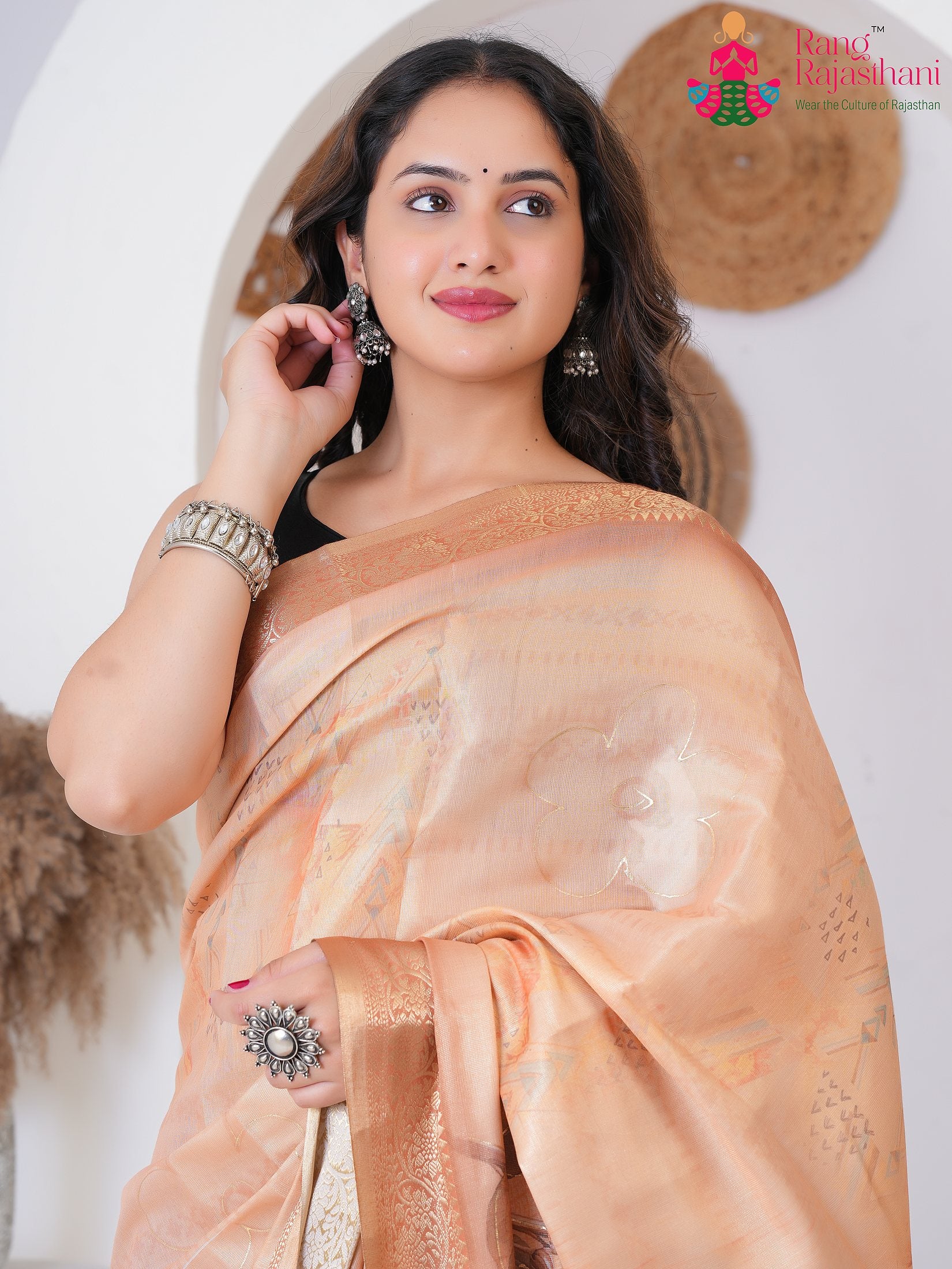 Wine Imported saree with Printed back view