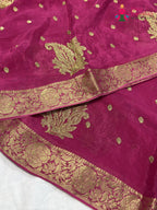 close up view of pink chinnon sequin saree