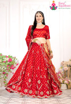 Red Pure Gaji Silk saree with Handwork, Badhani side drape view