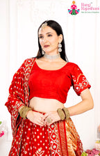 Red Pure Gaji Silk saree with Handwork and Bandhani side drape view