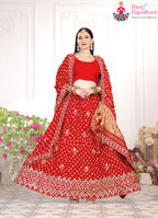 Red Pure Gaji Silk saree with Handwork and Bandhani back view