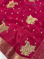 border detail of rani chinnon sequin saree
