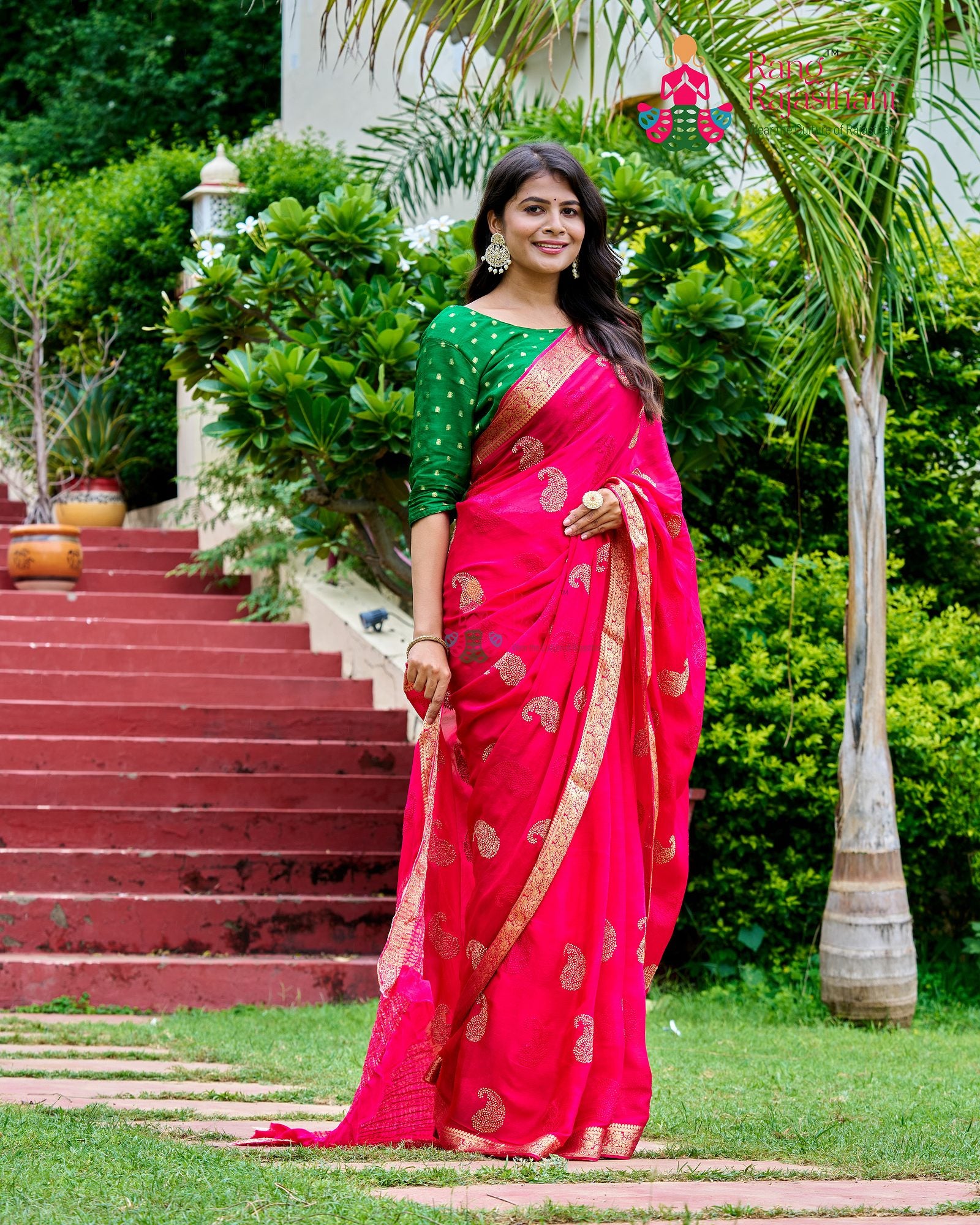 Soft Rani Saree - Party Ready