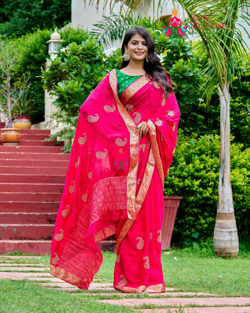 Soft Rani Saree - Party Ready