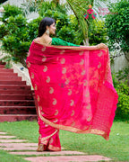Rani Chinon saree with Zari Work and Banarasi Border back view