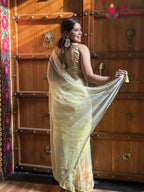 Multi Pure Chiffon Sequin Saree for Raksha Bandhan | Exclusive Pick