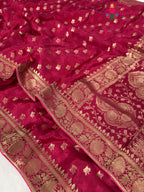 border detailing of rani pure ho silk banarasi zari weave saree