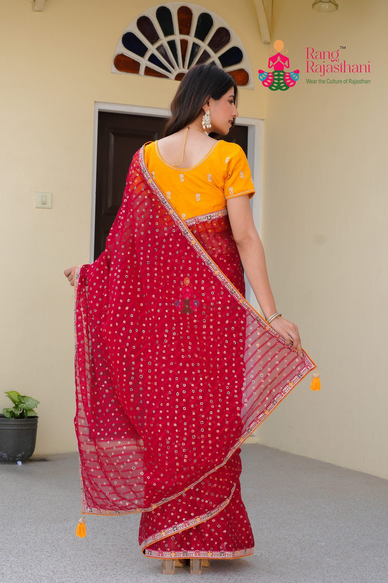 rani chiffon saree with foil for engagement day back view