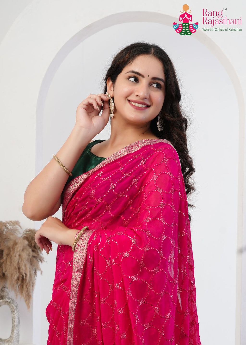 rani pure chinnon saree with resham and micro sequence for close-up view