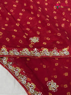border detail of red chiffon hand embellishment saree