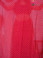 Red Cotton saree with Printed pallu detailing