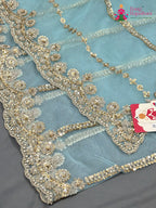 Firozi Net Sequin Saree for Wedding Reception | Premium Collection