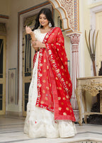White Red Pure Silk saree with Zari Work and Mirror Work back view