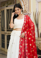 White Red Pure Silk saree with Zari Work and Mirror Work close up detailing